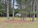 Charming single story home with brick and siding exterior, nestled among mature trees on a large lot at 6673 Nc 96 W Hwy, Youngsville, NC 27596