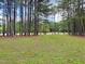 Expansive front yard featuring lush green grass and mature trees, offering a serene and spacious outdoor setting at 6673 Nc 96 W Hwy, Youngsville, NC 27596