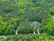 Expansive aerial shot of a secluded home nestled within a dense forest setting at 754 Olde Thompson Creek Ct Rd, Apex, NC 27523