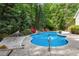 Beautiful backyard pool surrounded by lush trees and features a hammock for relaxation in a private setting at 754 Olde Thompson Creek Ct Rd, Apex, NC 27523