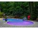 Illuminated in-ground swimming pool with rock accents, lush landscaping, and a hammock at 754 Olde Thompson Creek Ct Rd, Apex, NC 27523