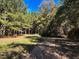 Beautiful wooded land with mixed greenery and sunny open spaces, perfect for outdoor recreation or building at 79 Mildred Dr, Broadway, NC 27505