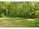 Expansive backyard featuring a well-maintained lawn and mature trees providing ample shade and privacy at 104 Planetree Ln, Cary, NC 27511