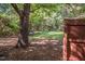 Private fenced backyard with a lush lawn and mature trees at 104 Sir Richard Ln, Chapel Hill, NC 27517