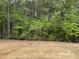 Heavily wooded lot provides privacy and a natural setting at 169 Pecan Valley Way, Four Oaks, NC 27524