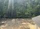 New home construction backyard area with a wooded lot and view from the upper level at 169 Pecan Valley Way, Four Oaks, NC 27524