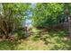 Spacious backyard with green grass, mature trees, and a secluded hot tub area at 203 Downing Bluff Dr, Morrisville, NC 27560