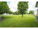 Lush green backyard surrounded by trees at 3004 Red Cir, Willow Springs, NC 27592