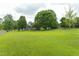 Vast green backyard with mature trees and partial fence at 3004 Red Cir, Willow Springs, NC 27592