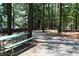 Scenic park view with picnic table next to paved path at 334 Carolina Springs Blvd, Apex, NC 27539