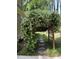 Landscaped garden path featuring an archway covered in white flowering vines leading to the backyard at 406 Bakewell Ct, Wake Forest, NC 27587