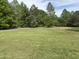 Large grassy backyard surrounded by lush, mature trees, offering a serene and private outdoor space at 4855 Mike Ln, Nashville, NC 27856