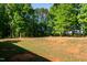 An expansive backyard with mature trees, offering plenty of room for outdoor activities at 116 Shawnee Dr, Louisburg, NC 27549
