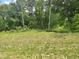 A vacant lot features a grassy field and a natural wooded area, ready for development at 1635 Pecan Drive # 26, Nashville, NC 27856