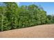 An expansive backyard featuring lush greenery, set beneath a clear, sunny sky at 185 Millwood Dr, Clayton, NC 27527