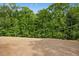 An expansive backyard featuring lush greenery, set beneath a clear, sunny sky at 185 Millwood Dr, Clayton, NC 27527