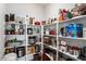 Organized walk-in pantry with shelving to maximize storage at 2919 Winter Crop Way, Apex, NC 27502