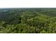 Vast wooded landscape with a mix of trees, highlighted by a clear sky at 435 Salt And Light Ln, Henderson, NC 27537