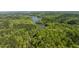 Waterfront property surrounded by a dense tree canopy and a navigable waterway at 435 Salt And Light Ln, Henderson, NC 27537