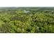 A sprawling, verdant landscape with a river winding through a lush forest setting at 435 Salt And Light Ln, Henderson, NC 27537