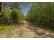 Dirt driveway leading through a lush, green forest with a clear blue sky at 435 Salt And Light Ln, Henderson, NC 27537