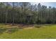 Hunting stand nestled in a peaceful meadow surrounded by tall pine trees at 435 Salt And Light Ln, Henderson, NC 27537