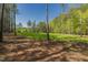 Cleared grassy land surrounded by tall trees, offering a peaceful and secluded atmosphere at 435 Salt And Light Ln, Henderson, NC 27537