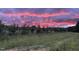 Picturesque meadow landscape featuring a colorful sunset sky and tall green grass at 435 Salt And Light Ln, Henderson, NC 27537