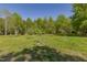 A lush yard, dappled with shadows, featuring thriving saplings against a woodland backdrop at 435 Salt And Light Ln, Henderson, NC 27537