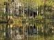 Serene pond view with bicyclist and house reflections in a natural setting at 6 Chelan Ct, Durham, NC 27713