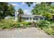 Charming home with lush landscaping, a green door, and a well-maintained front yard at 708 W Main St, Carrboro, NC 27510
