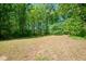 A large, grassy backyard surrounded by tall, mature trees under a blue sky at 145 Mark St, Franklinton, NC 27525
