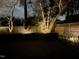Backyard with professional landscape lighting highlighting mature trees at 1712 Briarforest Pl, Raleigh, NC 27615