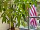 A potted plant sits near a window with the American flag visible in the background at 1712 Briarforest Pl, Raleigh, NC 27615