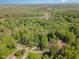 Aerial view of wooded neighborhood, houses, and surrounding green trees at 200 Weybossett Rd, Henderson, NC 27537