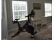 Light filled room with exercise bike, desk and area rug at 3032 Curling Creek Dr, Apex, NC 27502