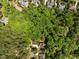 Aerial view of a neighborhood with houses and streets surrounded by trees at 3425 Donnigale Ave, Durham, NC 27705
