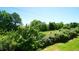 Overlooking view of the backyard showing lush greenery, trees, and a clear blue sky at 4024 Claret Ln, Morrisville, NC 27560