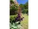 Beautiful purple irises and pink roses add color and charm to the landscaped garden at 416 Mitchell St, Hillsborough, NC 27278