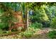 Lush green landscape with mature trees and native plants, adding natural beauty at 5212 Badham Pl, Raleigh, NC 27609