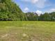 Lush green field of grass, surrounded by mature trees and ready for anything at 9652 S Nc-87 Hwy, Graham, NC 27253