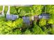 Aerial view of lush green neighborhood showcasing landscaping and well-maintained yards surrounding cozy homes at 1008 Winona Rd, Raleigh, NC 27609