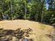 An expansive backyard with lush, green grass and mature trees at 107 Seminole Dr, Louisburg, NC 27549