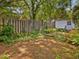 Wooden fence and storage building surrounded by lush foliage in a tranquil backyard setting at 224 E Park Dr, Raleigh, NC 27605