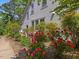 Charming home with white siding and lush landscaping featuring rose bushes and other flowering plants at 224 E Park Dr, Raleigh, NC 27605