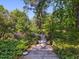 Lush front yard with a charming walkway, flowers, mature trees, and well-maintained landscaping at 224 E Park Dr, Raleigh, NC 27605