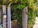 Charming rustic garden gate with lush greenery and brick pathway at 224 E Park Dr, Raleigh, NC 27605