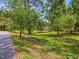 Scenic view of lush lawn and mature shade trees, offering a peaceful and inviting outdoor space at 224 E Park Dr, Raleigh, NC 27605