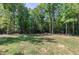 Large backyard with mature trees at 3627 River Watch Ln, Franklinton, NC 27525