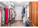 Walk-in closet with shelves, hanging rods, and carpet flooring for organized storage at 4418 Carpenter Pond Rd, Durham, NC 27703